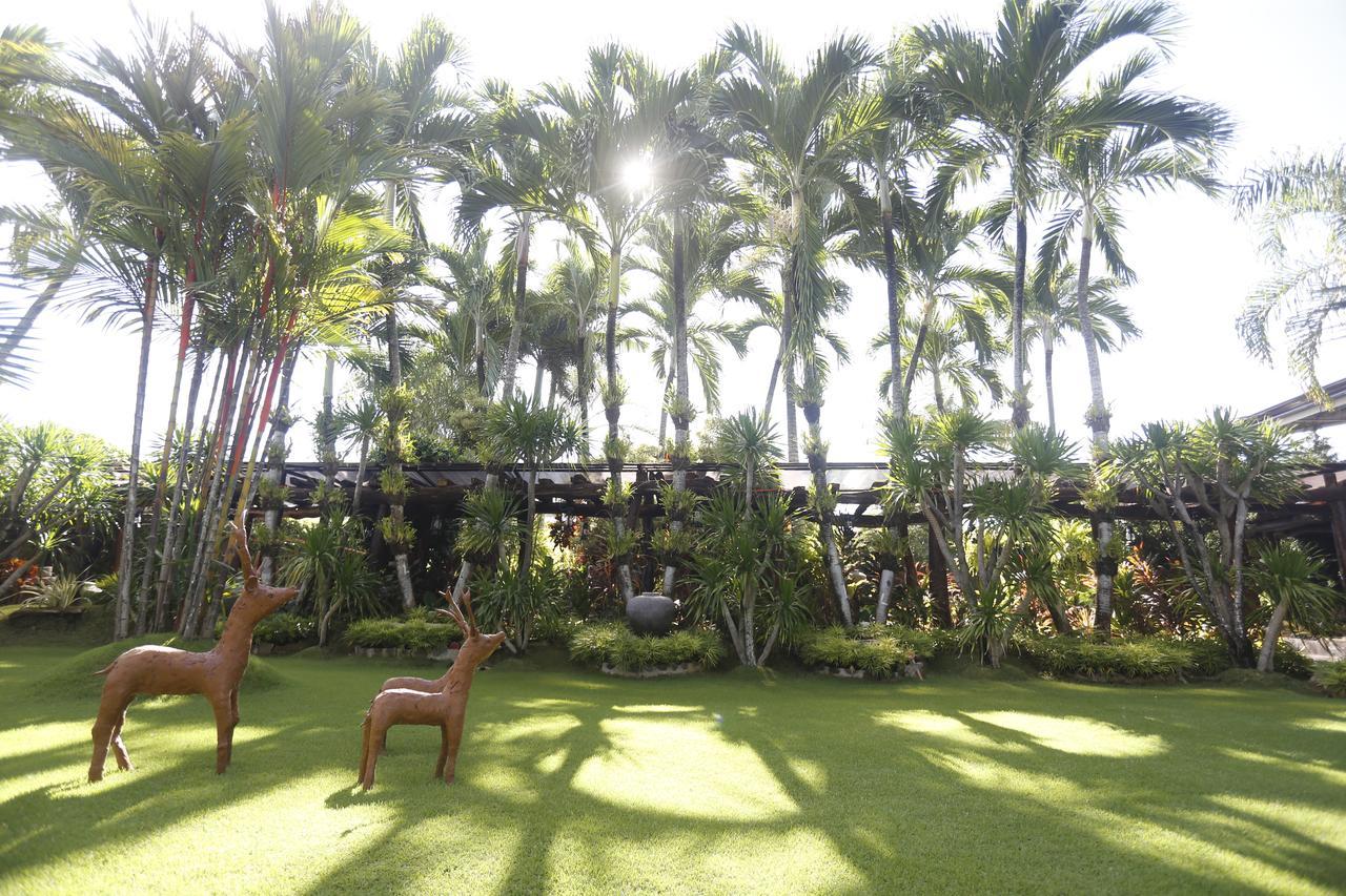 Victoria'S Haven Bed & Breakfast Dumaguete City Exterior foto